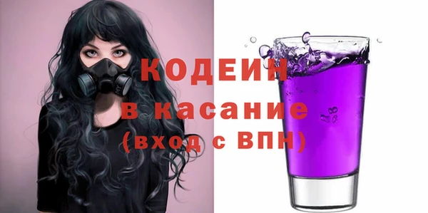 индика Нязепетровск