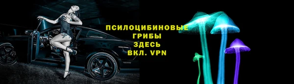 индика Нязепетровск