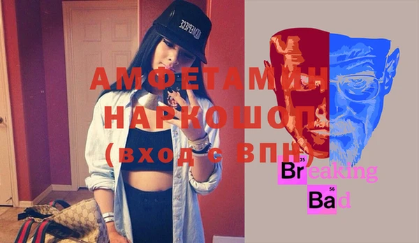 амф Няндома